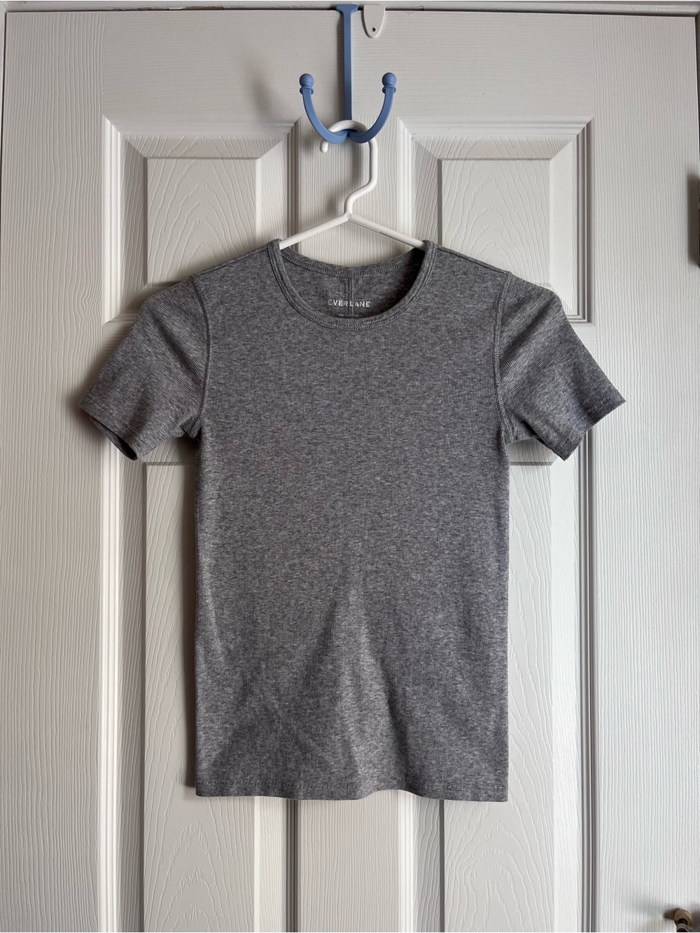 Everlane Luxe Rib Crew Short Sleeve Tee